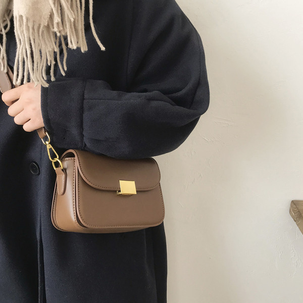 Naiste metallist lukuga nahast kott