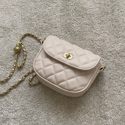 Väike moodne metallketiga nahast kott