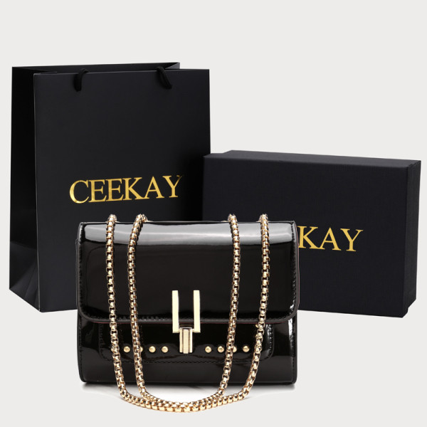 Naiste metallelementidega lakknahast kott