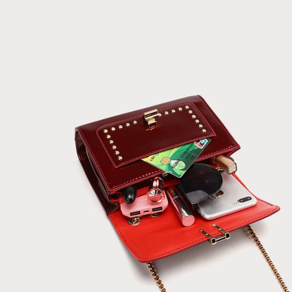 Naiste metallelementidega lakknahast kott