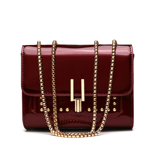 Naiste metallelementidega lakknahast kott