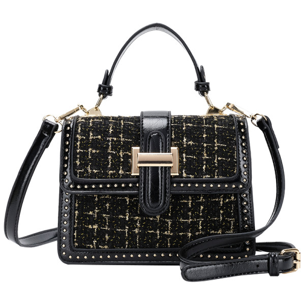 Praegune pandlaga ja kahe sangaga naiste kott