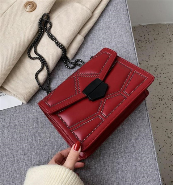 Moodne nahast kott metallist keti ja pandlaga