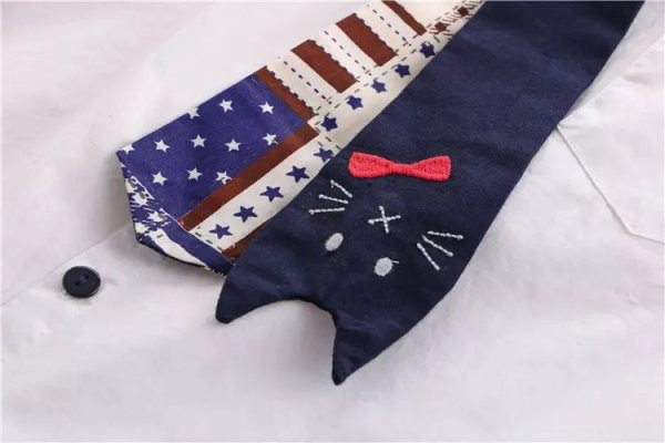 Naujo modelio moteriški marškiniai su klasikine apykakle ir kaklaraiščiu