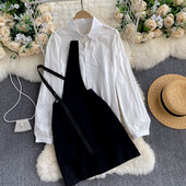 Moodne naiste komplekt klassikalisest särgist ja kleidist