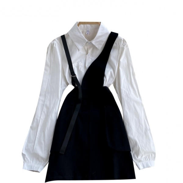 Moodne naiste komplekt klassikalisest särgist ja kleidist