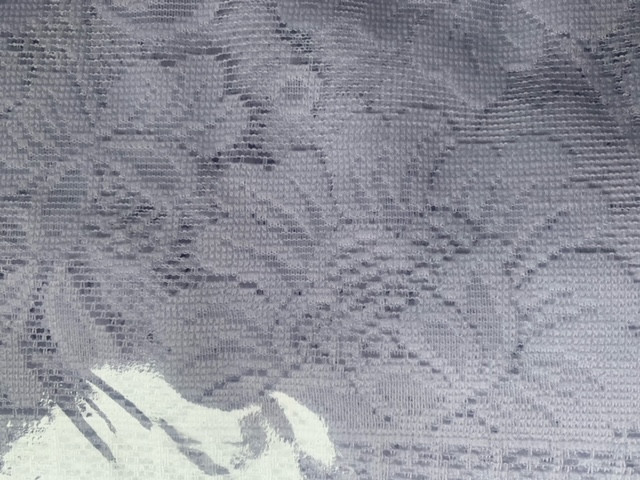 Перде дантела с ширит лента Wisan Fantazja, E 453, 250x170 cm, 100% Полиестер, Бял