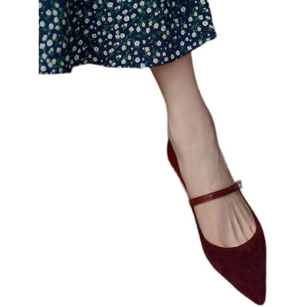 Ženske cipele na špic više modela