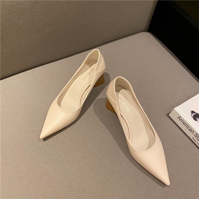 Moderne ženske cipele od eko kože na četvrtastu petu