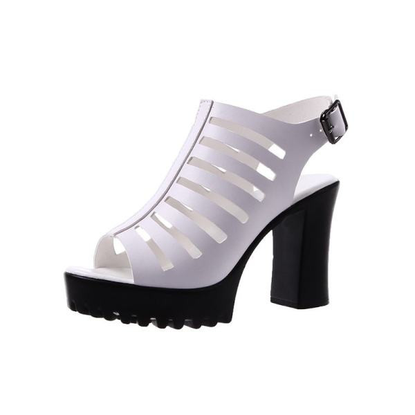 Ženske moderne cipele s debelom petom i kopčom