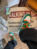 Ženske antilop tenisice sa vezicama i ravnim đonom u tri boje