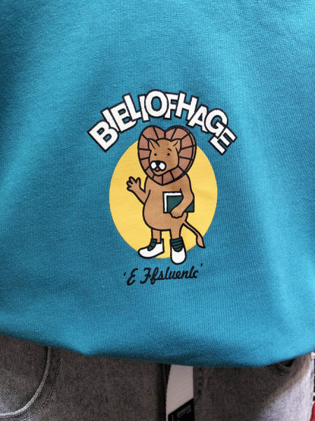 Ležerni komplet za dječake - majica s aplikacijom i kratke traperice