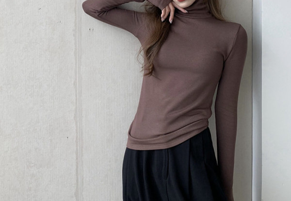 Bluza de dama model nou - cu guler inalt si maneci lungi