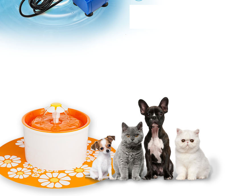 Automaatne joogiveekauss lemmikloomadele