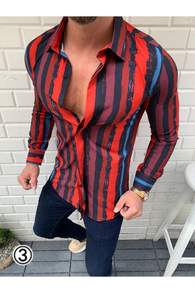 Cămașă bărbătească stilată în dungi model cu mâneci lungi