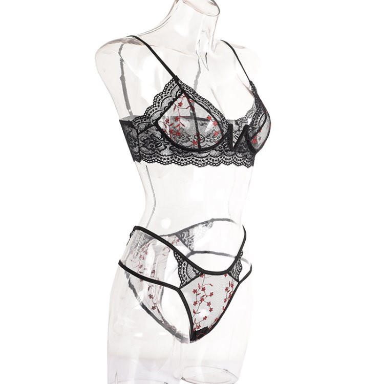 Set intim pentru femei, de ultimă generație, din două părți, cu broderie și dantelă