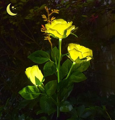 Αδιάβροχη ηλιακή λυχνία LED για τον κήπο