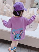 Παιδικό φόρεμα για την άνοιξη με απλικέ και μακριά μανίκια