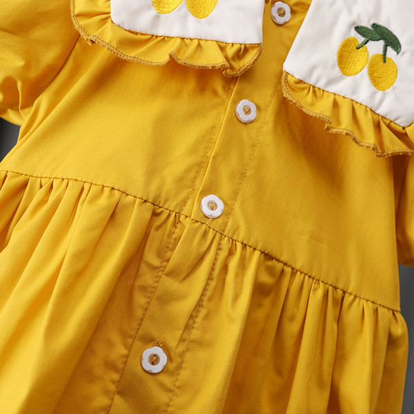 Nööpidega vabaaja kleit ja tikandiga lai krae