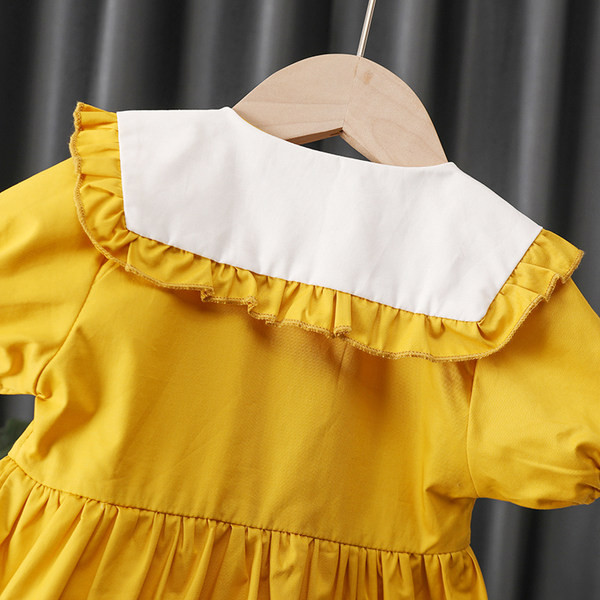 Nööpidega vabaaja kleit ja tikandiga lai krae