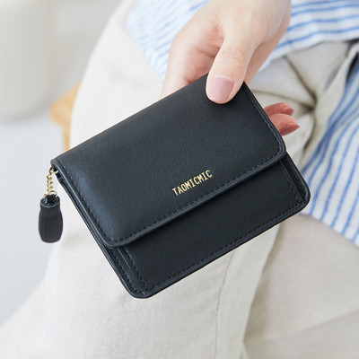 Sieviešu maks ar metāla aizdari un aksesuāru