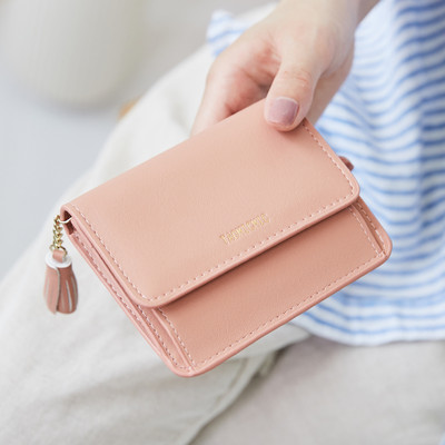 Sieviešu maks ar metāla aizdari un aksesuāru