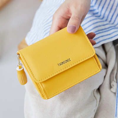 Sieviešu maks ar metāla aizdari un aksesuāru