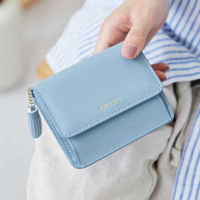 Sieviešu maks ar metāla aizdari un aksesuāru