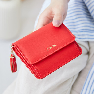 Sieviešu maks ar metāla aizdari un aksesuāru