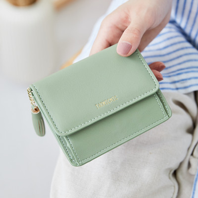 Sieviešu maks ar metāla aizdari un aksesuāru