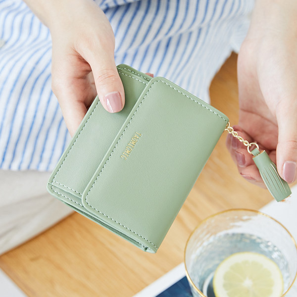 Sieviešu maks ar metāla aizdari un aksesuāru