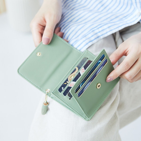 Sieviešu maks ar metāla aizdari un aksesuāru