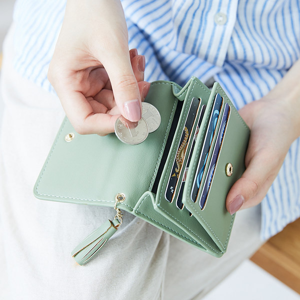 Sieviešu maks ar metāla aizdari un aksesuāru