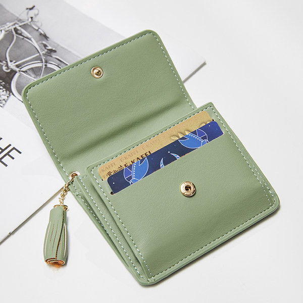 Sieviešu maks ar metāla aizdari un aksesuāru