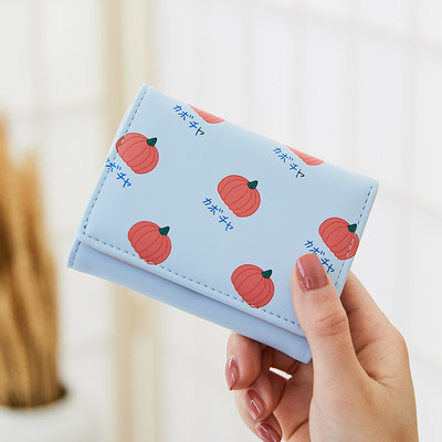 Μικρό πορτοφόλι με απλικέ χρώμα και μεταλλική στερέωση