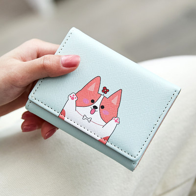 Sieviešu moderns maks ar aplikāciju trīs krāsās