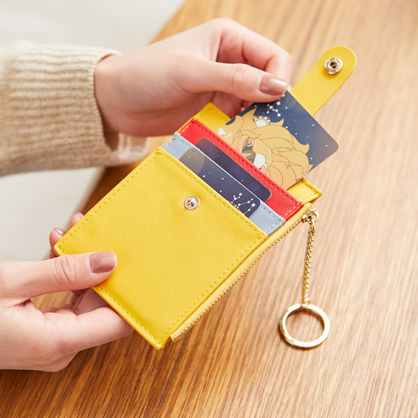 Sieviešu maks ar metāla ķēdīti un dokumentu nodalījumu