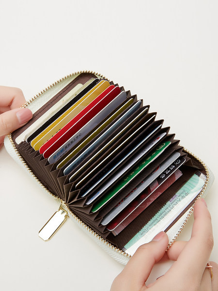 Neliels sieviešu maks ar dokumentu nodalījumiem