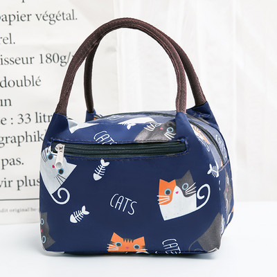 Geanta zilnica de panza dama cu fermoar si doua manere