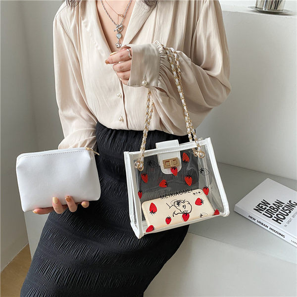 Γυναικεία διαφανής τσάντα με μεταλλική αγκράφα