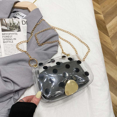 Γυναικεία διαφανής τσάντα ώμου με μεταλλική λαβή