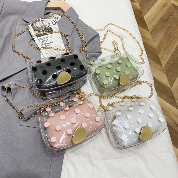 Γυναικεία διαφανής τσάντα ώμου με μεταλλική λαβή