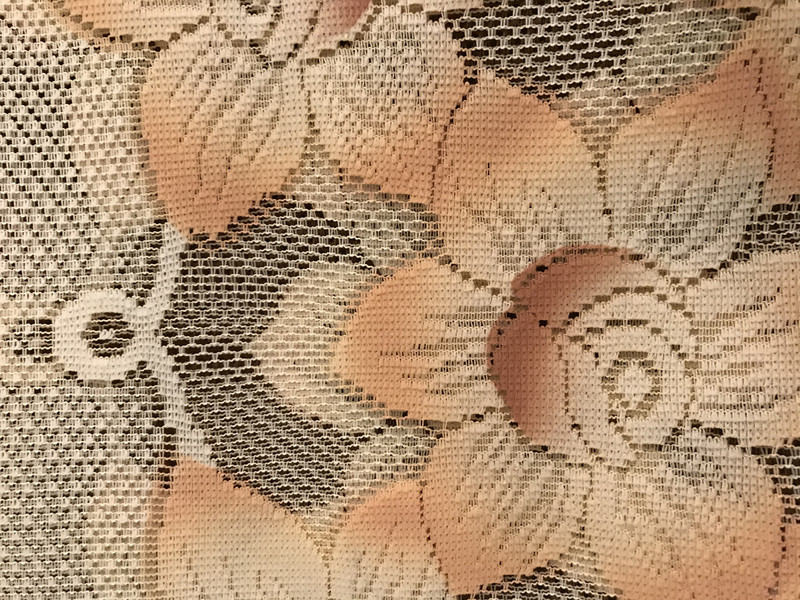 Дълго Перде дантела с ширит лента  Zoe 5979, 150x250 cm, 100% Полиестер, Кафяво-крем, 1 брой перде