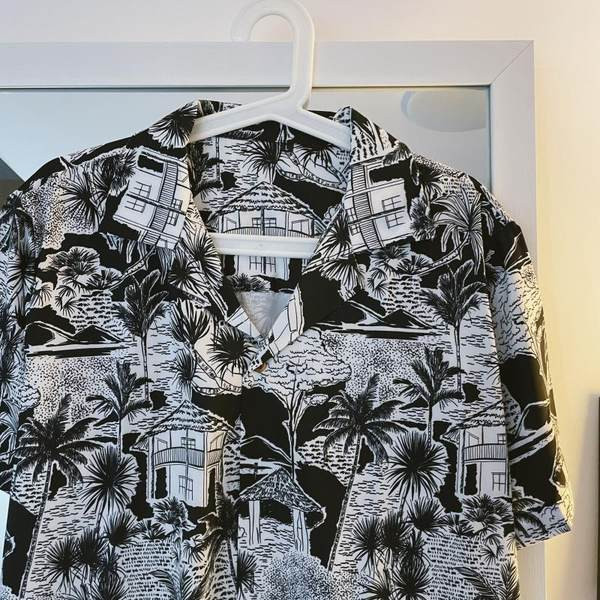 Ikdienas vīriešu krekls ar klasisku apkakli un pogām