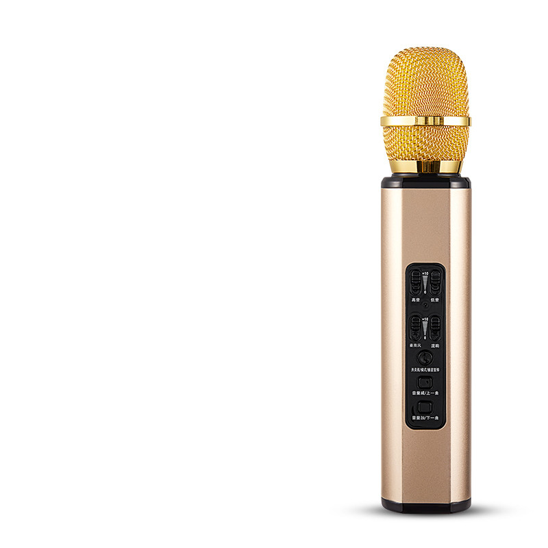 Ασύρματο μικρόφωνο Bluetooth καραόκε