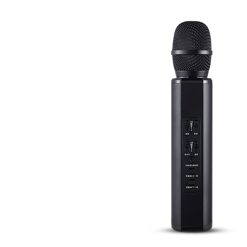 Ασύρματο μικρόφωνο Bluetooth καραόκε