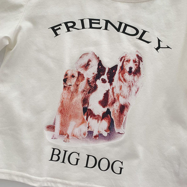 Ženska kratka majica s aplikacijom i ovalnim izrezom