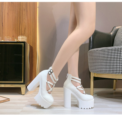 Γυναικεία έκο δερμάτινα παπούτσια με χοντρό τακούνι - δύο μοντέλα