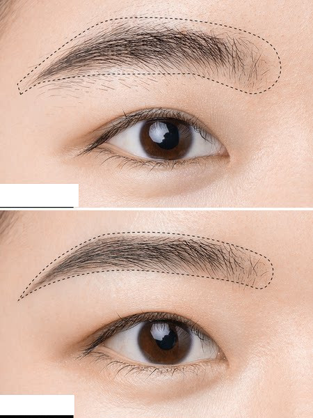 Κοπτικό φρυδιών