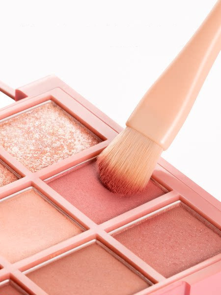 Meigipintslite komplekt